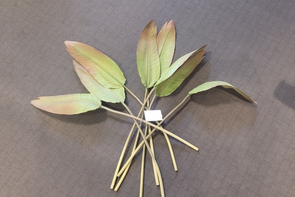 Bird of Paradise Set of 8 Leaves (Decorative Plant)