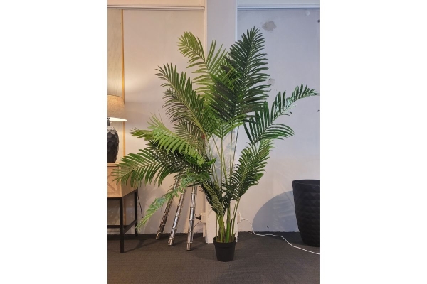 Areca Palm Decorative Plant (190cm)